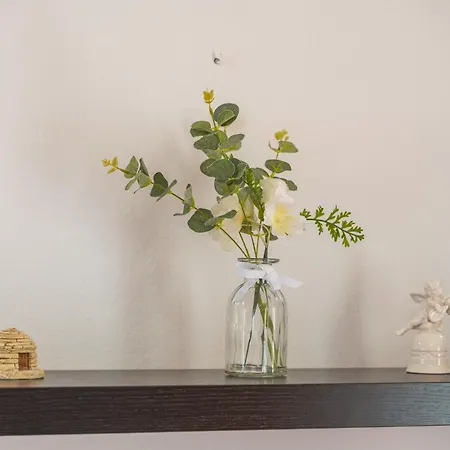 Doma Apartment
