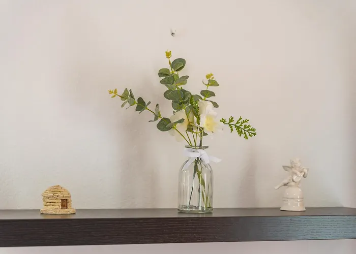Doma Apartment