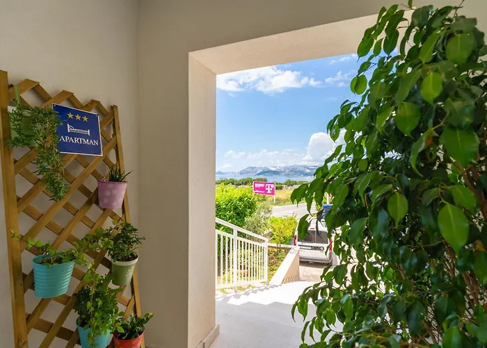 Doma * Cavtat